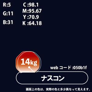カンペハピオ 油性シリコントタン用S 14kg...の詳細画像2