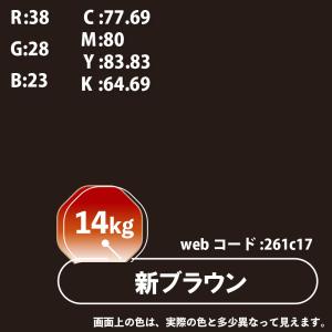 カンペハピオ 油性シリコントタン用S 14kg...の詳細画像2