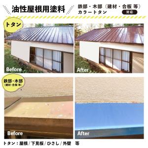 カンペハピオ 油性シリコントタン用S 14kg...の詳細画像4
