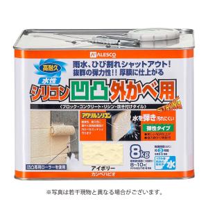 イチネン NX492 塩害ガード ブラック 15kg（一斗缶サイズ） : SS