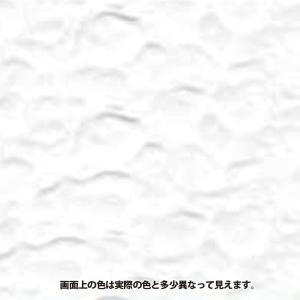 カンペハピオ 水性シリコン凹凸外かべ用 16k...の詳細画像1