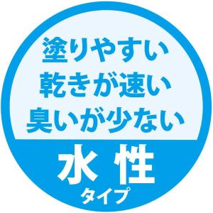 カンペハピオ 水性シリコン凹凸外かべ用 16k...の詳細画像3