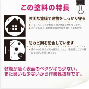 カンペハピオ 水性シリコン凹凸外かべ用 16k...の詳細画像5