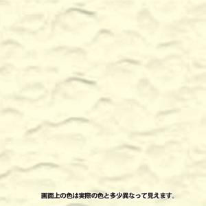カンペハピオ 水性シリコン凹凸外かべ用 16k...の詳細画像1
