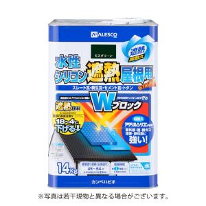BONUS+5%】 水系ナノシリコン 艶消し 15kg （水性アクリルシリコン樹脂