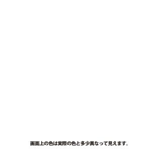 カンペハピオ 水性シリコン遮熱屋根用 専用下塗...の詳細画像1