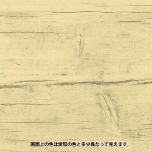 メーカー欠品中 次回10月中旬入荷予定です カ...の詳細画像1