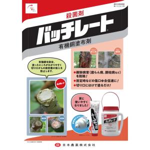バッチレート 1kgの詳細画像1