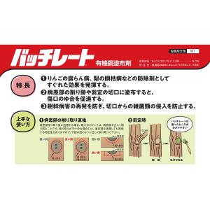 バッチレート 1kgの詳細画像2