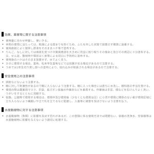 バッチレート 1kgの詳細画像4