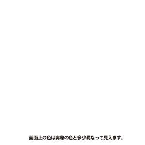 ニッペホームプロダクツ FOR PRO 水性シ...の詳細画像1