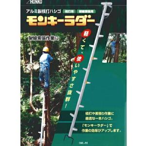 長谷川工業 枝打ちはしご EH-30 (全長3.07m/最大使用重量100kg