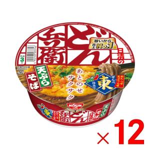日清のどん兵衛 12箱まで1個口 きつねうどんミニ 東 ×12個 ［ケース