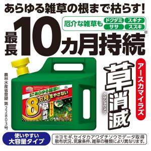 アースガーデン アースカマイラズ 草消滅 ジョ...の詳細画像2