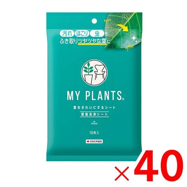 KINCHO園芸 MY PLANTS 葉をきれいにするシート 10枚入 ×40個 ケース販売