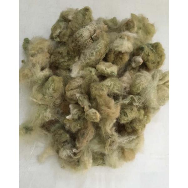 コットン 種付き 緑綿 100g ＜綿 オーガニック 紡ぎ＞