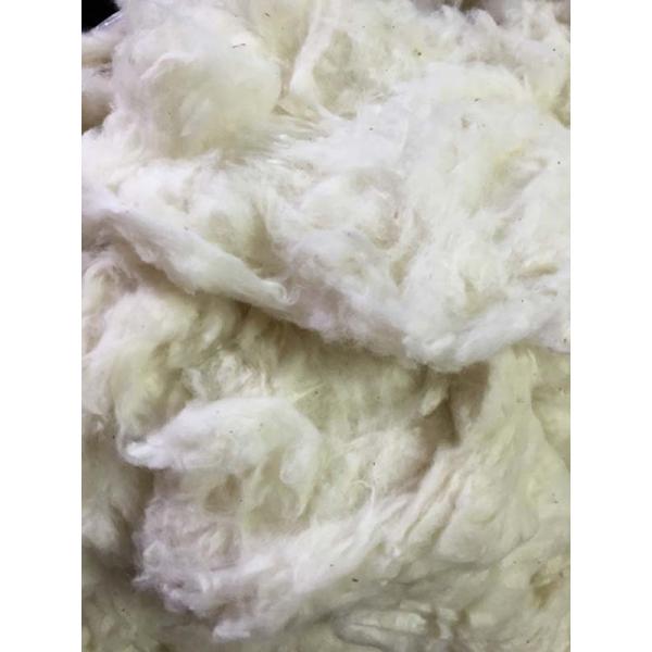 種取り済みコットン（かたまり）　100g ＜綿 紡ぎ＞