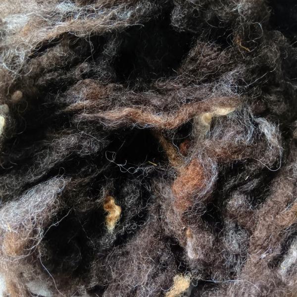 クロスブレッド・ミックスカラー（洗毛済み）100ｇ ＜紡毛 紡ぎ 染め 羊毛 フェルト＞