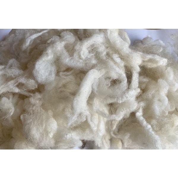 クロスブレッド白（洗毛済み）100ｇ ＜紡毛 紡ぎ 染め 羊毛 フェルト＞