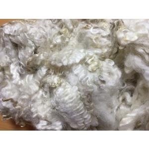 イングリッシュレスター　洗毛済みホワイト　100g ＜紡毛 紡ぎ 染め 羊毛 フェルト＞