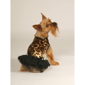 ヒョウ柄/黒レース　タンクドレス（帽子付き）【メール便可】 ＜犬服 ワンコ＞