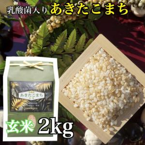 乳酸菌 あきたこまち 一等米 玄米 2kg お米 玄米 ごはん 国産米 秋田 アキタコマチ 健康の商品画像
