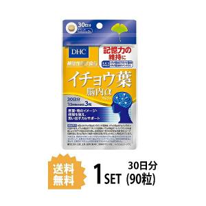 DHC イチョウ葉 脳内α アルファ 30日分 （90粒） ディーエイチシー サプリメント イチョウ葉 フラボノイド配糖体 テルペンラクトン 健康食