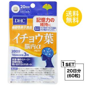 お試しサプリ DHC イチョウ葉 脳内α（アルファ）20日分 （60粒） ディーエイチシー サプリメント イチョウ葉 フラボノイド配糖体 テルペンラク