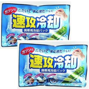 サイキョウファーマ」 瞬間冷却パックシロクマ 5個セット : 薬の