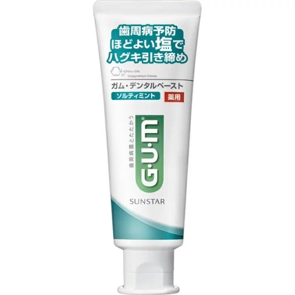 GUM ガム デンタルペースト ソルティミント （スタンディングタイプ） 150g 歯磨き粉 はみが...