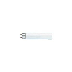TOSHIBA（東芝） FCL20ENC/18-ZN 単品 メロウZ 環形「サークライン