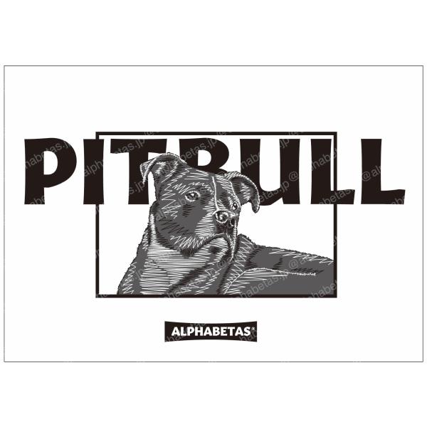 【D1.PITBULL】アルファベータスオリジナルデジタルアート　デジタルイラスト　額装込み　