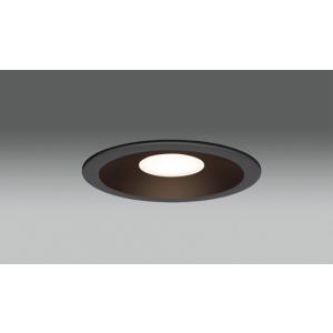 ODELIC オーデリック OD261894R ダウンライト 非調光 φ100 60W