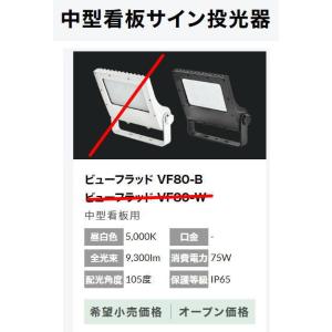 岩崎電気 MF250LSHU 岩崎電気製メタルハライドランプ FEC