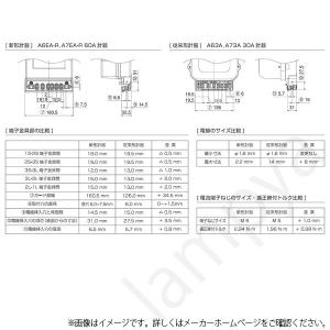 大崎電気工業 A6EA-R 100V 60A 60Hz 西日本 単相3線式 A6EA-R100V60A60Hz 電子式電力量計（検定付