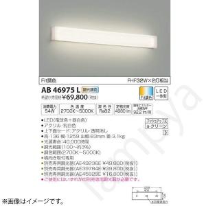 Panasonic（パナソニック） LED街路灯 LEDモールライト NNY22105ZLE9