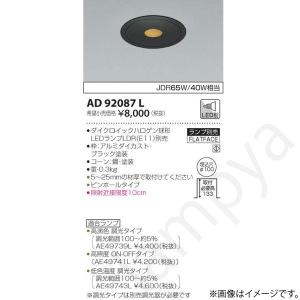 ODELIC（オーデリック） エクステリアライト スポットライト 【OG 254