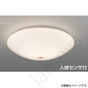 Panasonic（パナソニック） NNFB91915C LED非常灯 昼白色 非常用照明