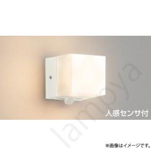 Panasonic（パナソニック） LED投光器 モールライト NYS15371KLE9