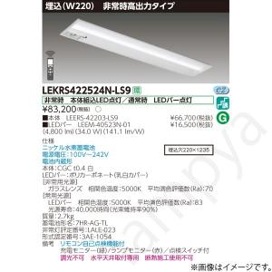 東芝ライテック LEKRJ422254NLS9（LEERJ-42203-LS9+LEEM-40253N-01