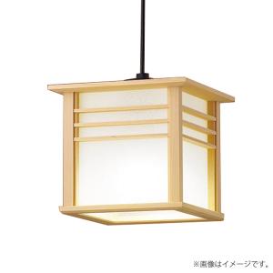 Panasonic（パナソニック） [法人限定] NDN28305S LEDダウンライト