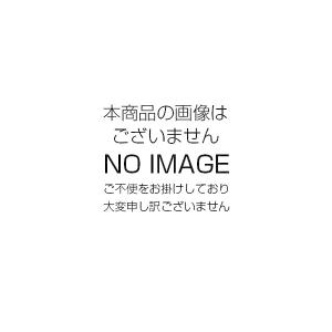 HIDランプ アイ スペシャルクス NH150FDX 岩崎電気｜lampya