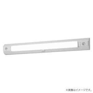 パナソニック NNCF42135LE9（NNCF42135 LE9）LED非常灯 階段通路誘導灯｜lampya