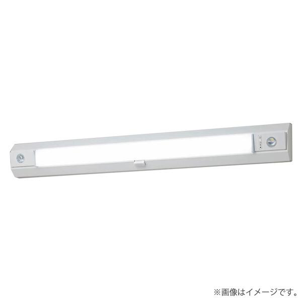 パナソニック NNCF42135LE9（NNCF42135 LE9）LED非常灯 階段通路誘導灯