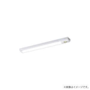 Panasonic LED非常灯 NNCF43155JLE9（NNCF43155J LE9）非常用照明器具