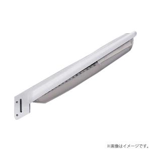 IRIS OHYAMA（アイリスオーヤマ） IRLDBH10A-V3 LED防犯灯 昼白色