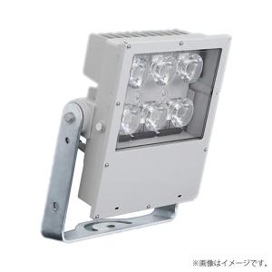 LED投光器 NYS10156KLE9(NYS10156K LE9) パナソニック｜lampya