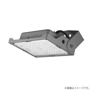 LED投光器 モールライト NYS15241LE9（NYS15241 LE9）パナソニック