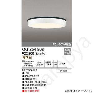 LEDシーリングライト OG254808(OG 254 808) オーデリック｜lampya