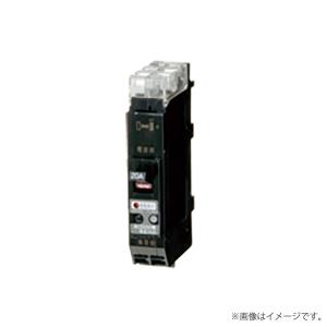 プラグインブレーカ PNX51TA-GL 2P 30A F30  PNX51TAGL2P30AF30〔代引不可〕｜lampya